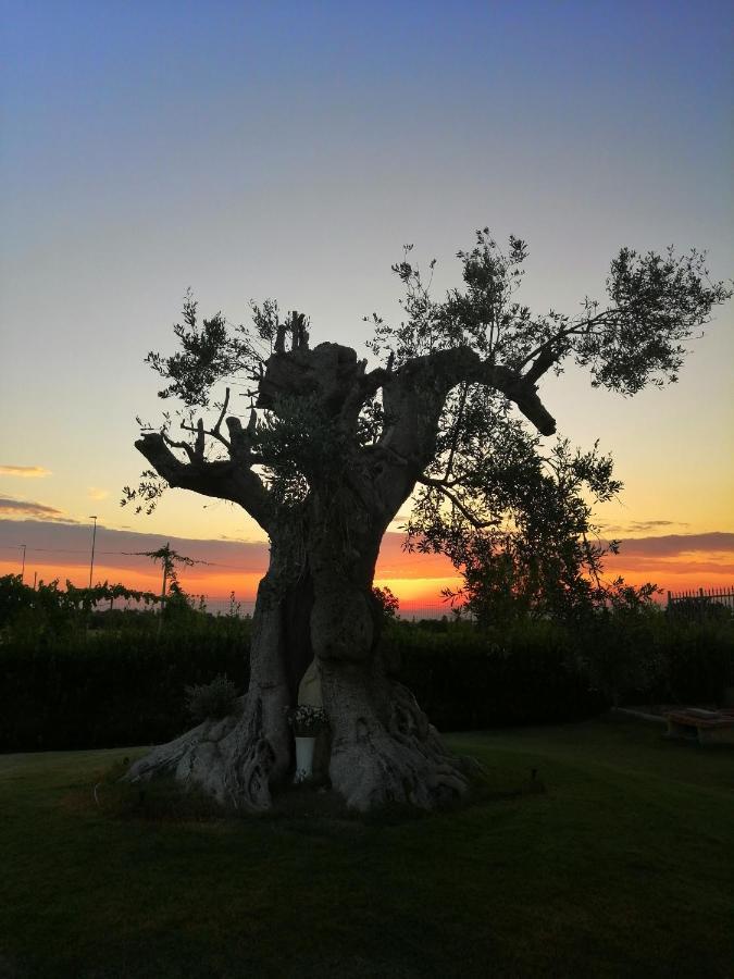 B&B Mareen Santa Maria al Bagno Dış mekan fotoğraf
