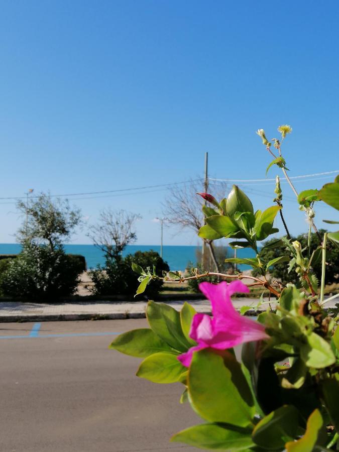 B&B Mareen Santa Maria al Bagno Dış mekan fotoğraf